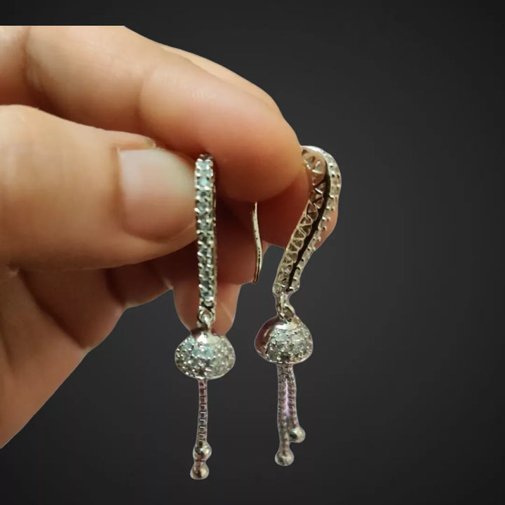 Rhodium Plated AD Drop Earrings - Sparkleeng  Jewels